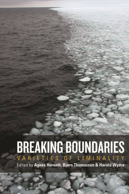 E-kniha Breaking Boundaries Agnes Horvath