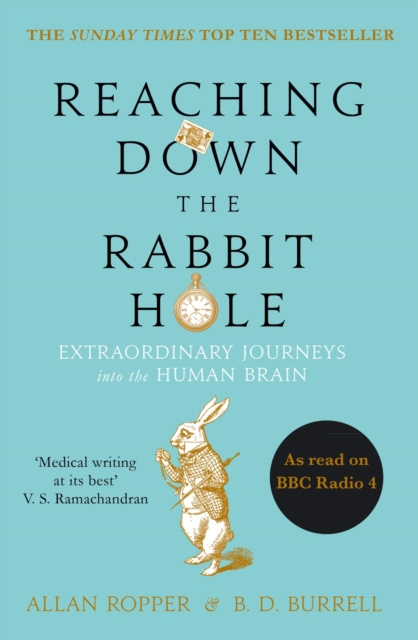 E-kniha Reaching Down the Rabbit Hole Allan Ropper