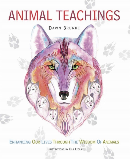 E-kniha Animal Teachings Dawn Brunke