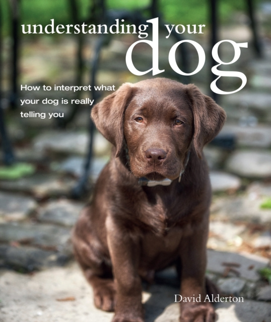 E-kniha Understanding Your Dog David Alderton
