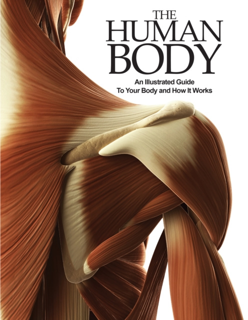 E-book Human Body Peter Abrahams