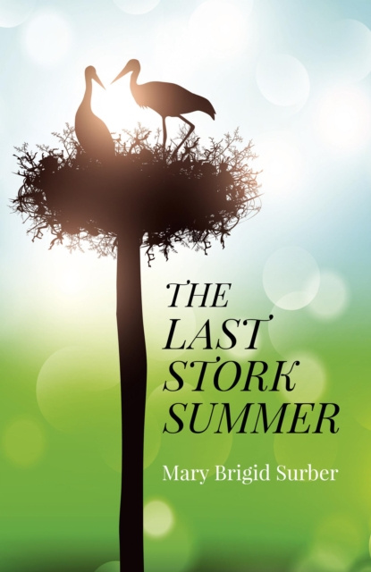 E-kniha Last Stork Summer Mary Brigid Surber