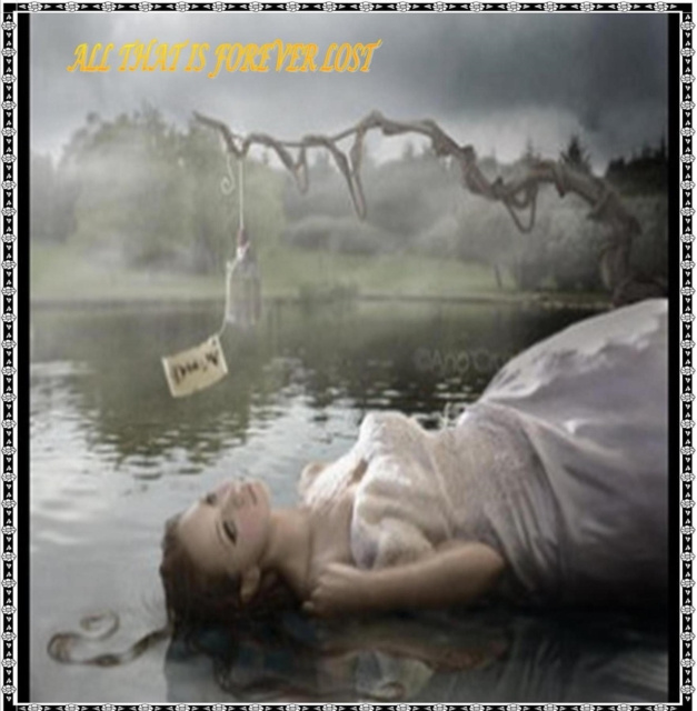 E-knjiga ALL THAT IS FOREVER LOST Writ