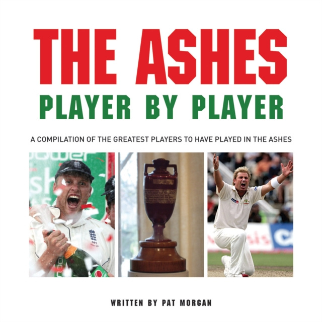 E-knjiga Ashes: Player by Player Pat Morgan