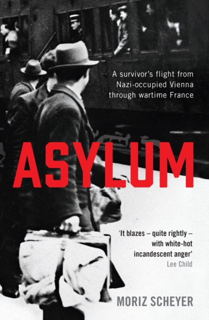 E-book Asylum Moriz Scheyer