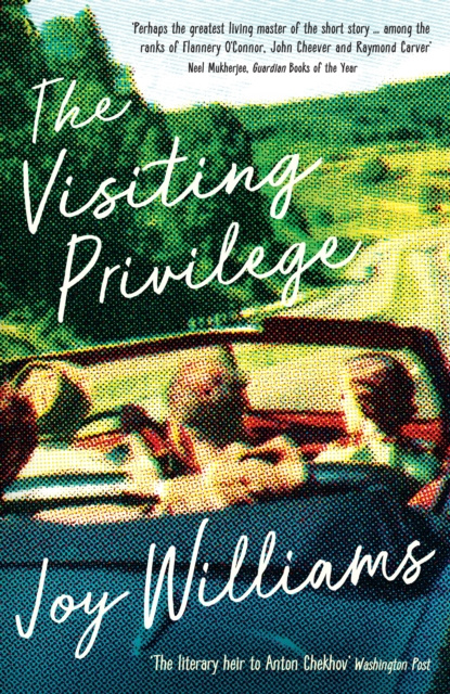 E-kniha Visiting Privilege Joy Williams