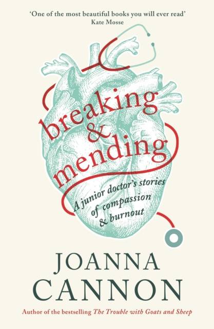 E-knjiga Breaking & Mending Joanna Cannon