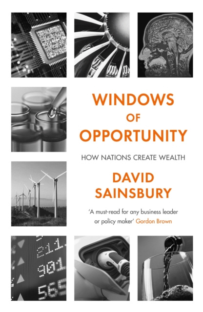 E-knjiga Windows of Opportunity David Sainsbury