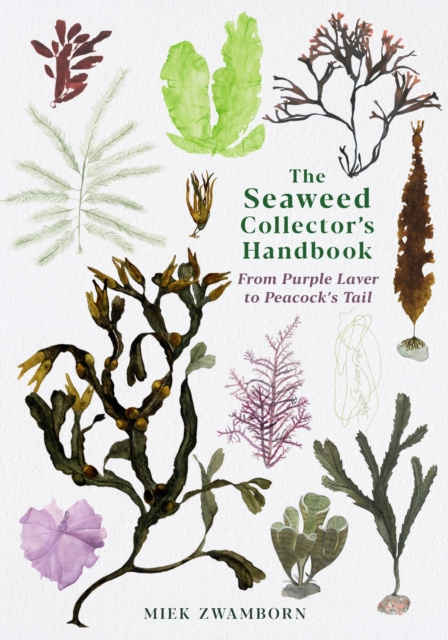 E-kniha Seaweed Collector's Handbook Miek Zwamborn