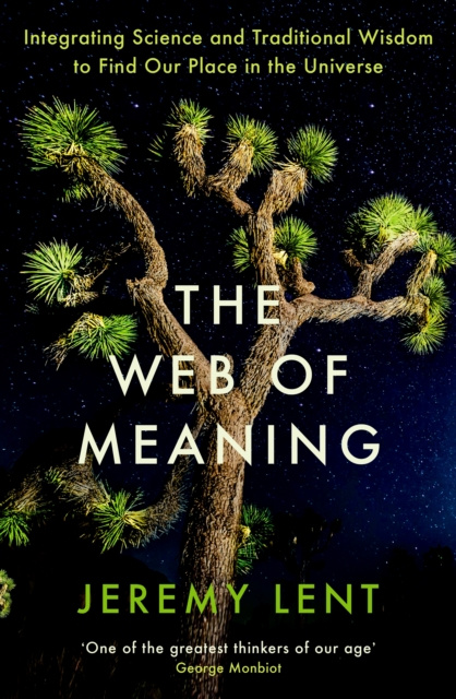 E-Book Web of Meaning Jeremy Lent