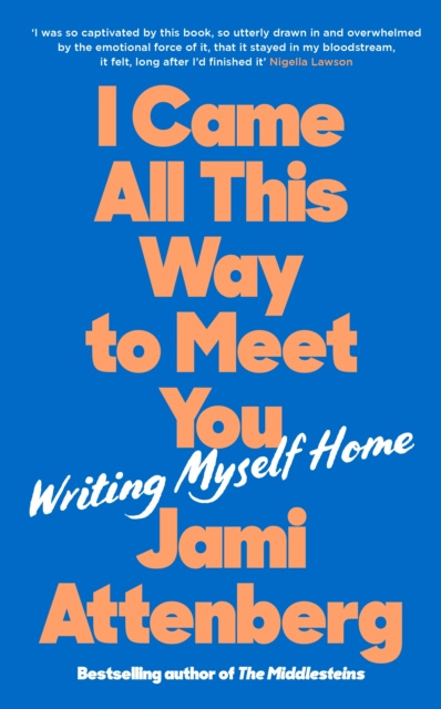 E-Book I Came All This Way to Meet You Jami Attenberg