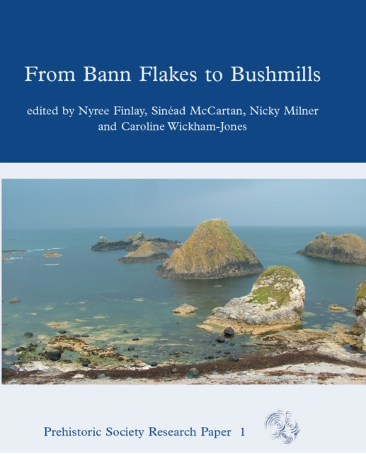 E-book From Bann Flakes to Bushmills Finlay Nyree Finlay