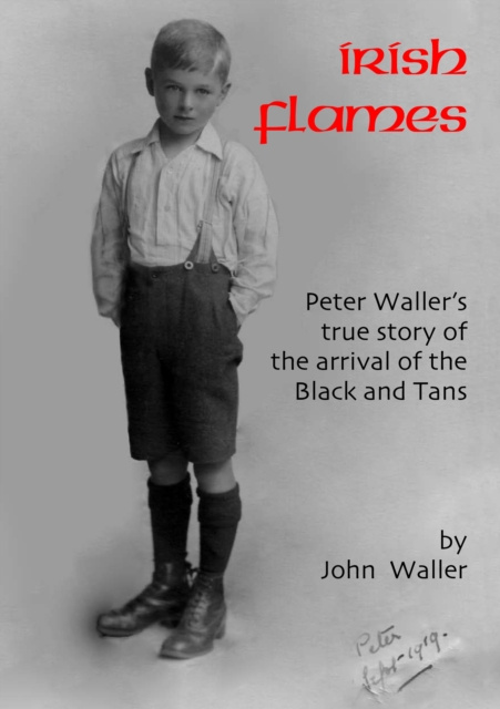 E-book Irish Flames John Waller