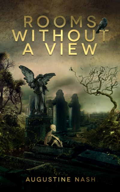 E-kniha Rooms Without A View Augustine Nash