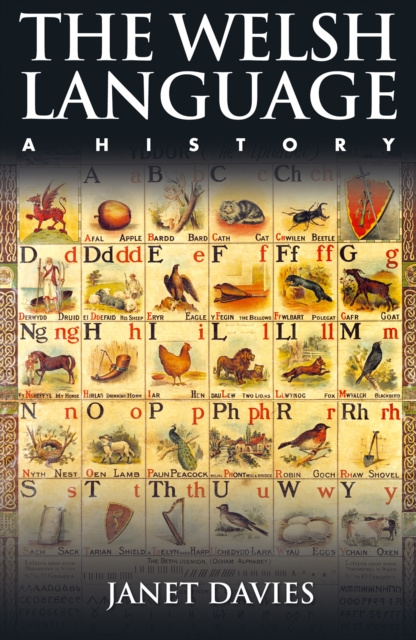 E-Book Welsh Language Janet Davies