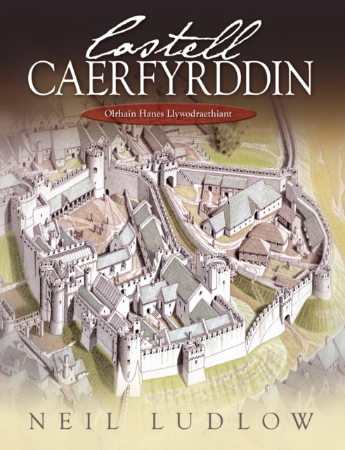 E-kniha Castell Caerfyrddin Neil Ludlow