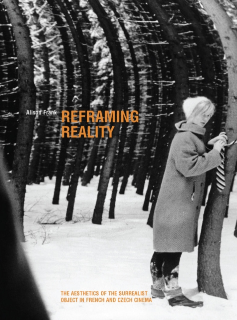 E-book Reframing Reality Alison Frank
