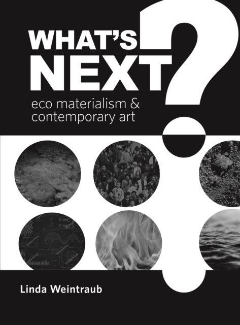E-Book What's Next? Linda Weintraub