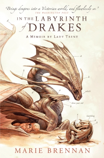 Libro elettronico In the Labyrinth of Drakes: A Memoir by Lady Trent Marie Brennan