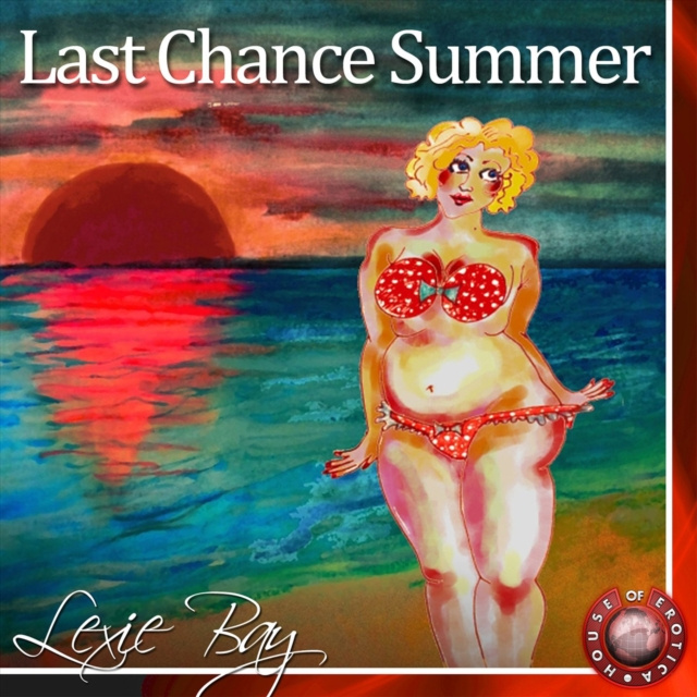 Audio knjiga Last Chance Summer Lexie Bay