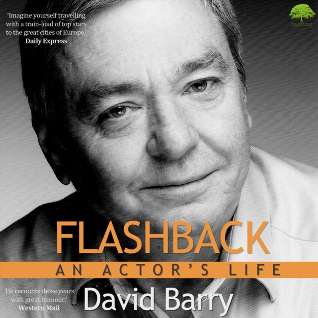 Audiolivro Flashback David Barry