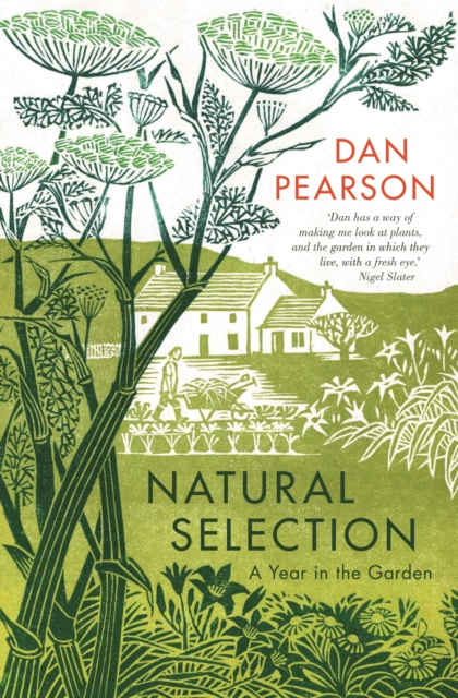 E-knjiga Natural Selection Dan Pearson