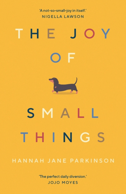 E-kniha Joy of Small Things Hannah Jane Parkinson