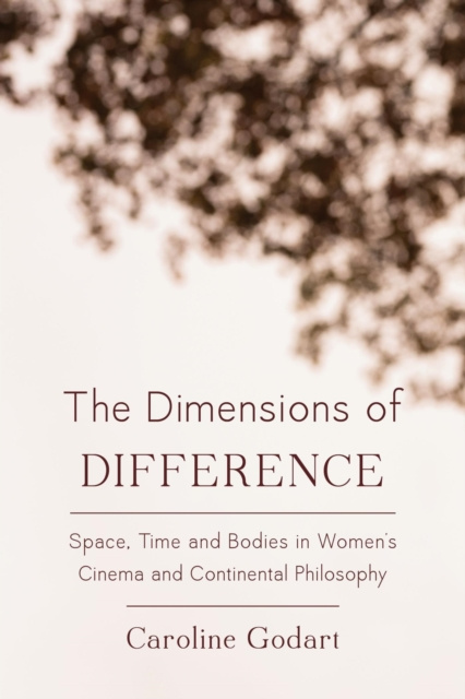 E-kniha Dimensions of Difference Caroline Godart