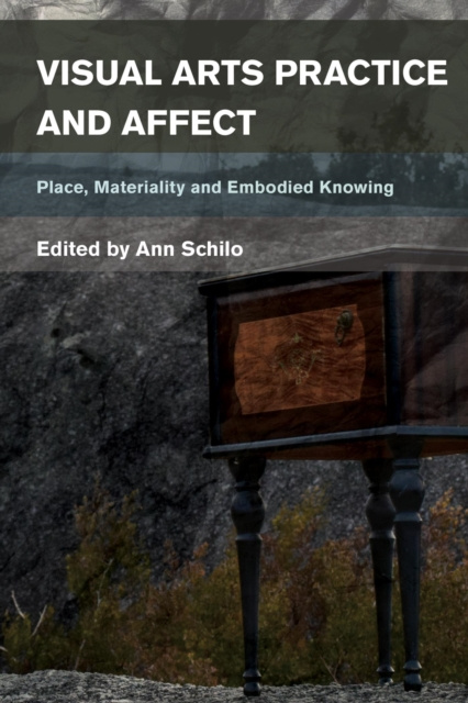 E-book Visual Arts Practice and Affect Ann Schilo