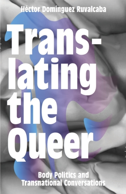 E-knjiga Translating the Queer Ruvalcaba H ctor Dom nguez Ruvalcaba