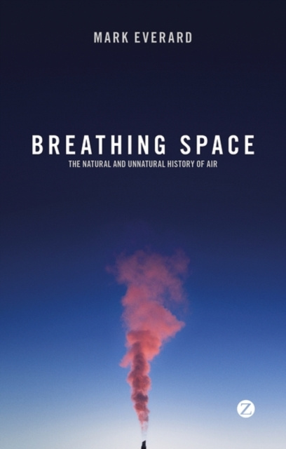 E-knjiga Breathing Space Everard Mark Everard