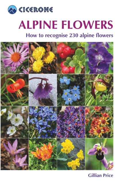 Libro electrónico Alpine Flowers Gillian Price
