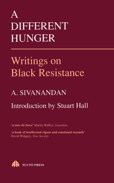 E-knjiga Different Hunger A. Sivanandan
