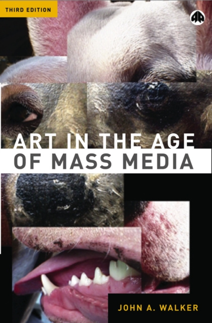 E-kniha Art in the Age of Mass Media John A. Walker