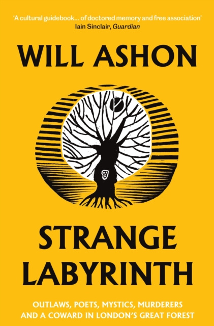 E-book Strange Labyrinth Will Ashon