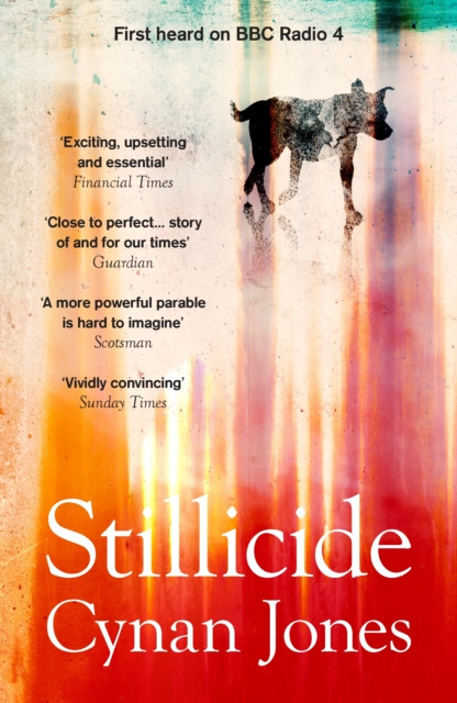E-Book Stillicide Cynan Jones