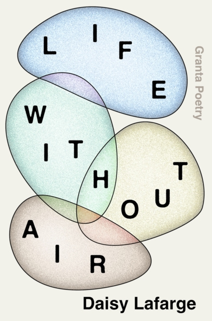 E-book Life Without Air Daisy Lafarge