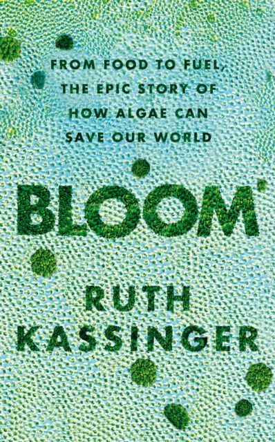 E-knjiga Bloom Ruth Kassinger