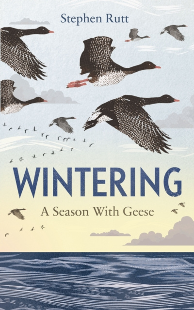 E-book Wintering Stephen Rutt