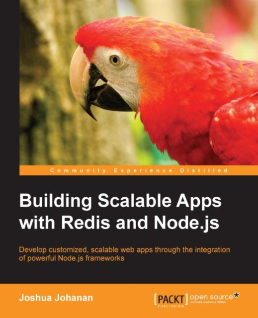 E-kniha Building Scalable Apps with Redis and Node.js Joshua Johanan
