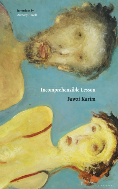 E-kniha Incomprehensible Lesson Fawzi Karim