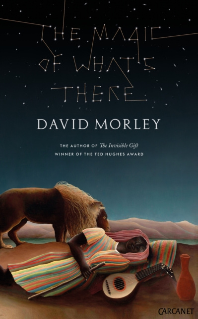 E-kniha Magic of What's There David Morley