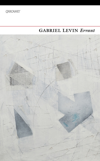 E-book Errant Gabriel Levin