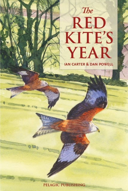 E-book Red Kite's Year Ian Carter