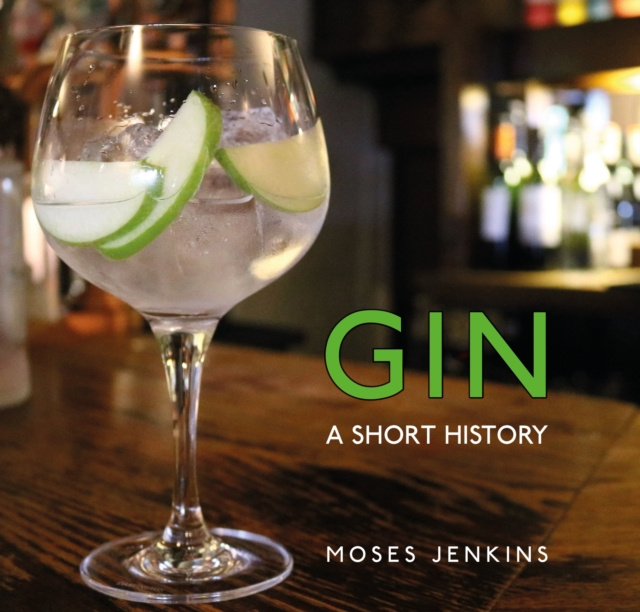 E-könyv Gin Jenkins Moses Jenkins