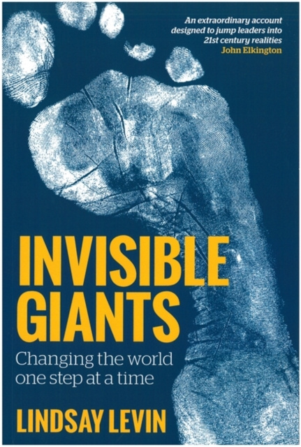 E-knjiga Invisible Giants Lindsay Levin