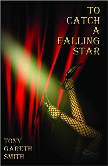 E-Book To Catch a Falling Star Tony Gareth Smith