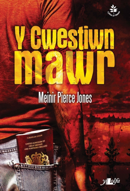 E-kniha Cyfres yr Onnen: Y Cwestiwn Mawr Meinir Pierce Jones