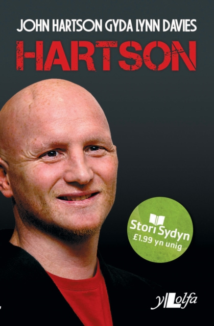 E-knjiga Stori Sydyn: Hartson Hartson John a Davies Lynn