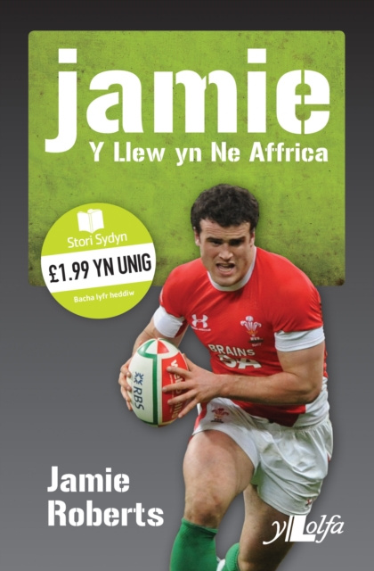 E-kniha Stori Sydyn: Jamie - y Llew yn Ne Affrica Roberts Jamie a Davies Lynne